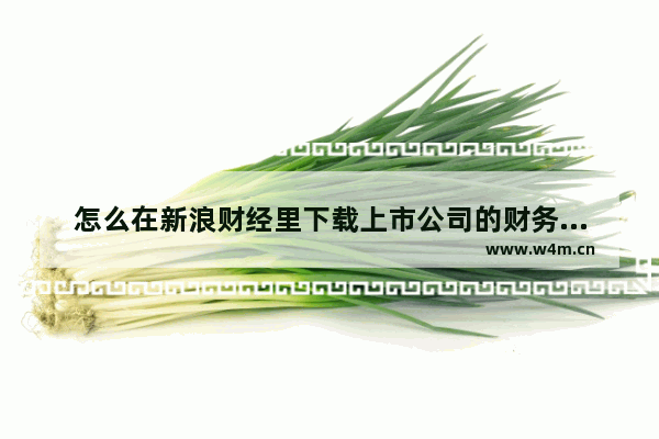 怎么在新浪财经里下载上市公司的财务报表啊_哪里还能看到连心的股评