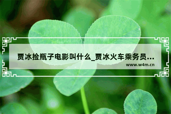 贾冰捡瓶子电影叫什么_贾冰火车乘务员电影叫啥