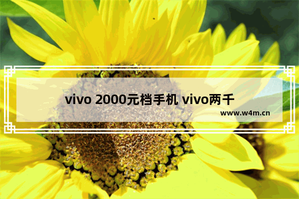 vivo 2000元档手机 vivo两千元左右手机推荐全新