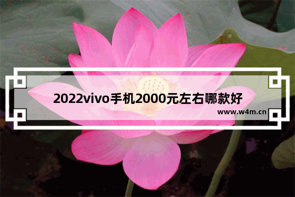 2022vivo手机2000元左右哪款好 两千内vivo手机推荐哪款