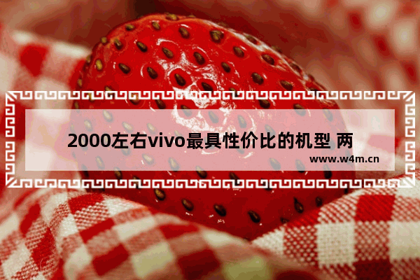 2000左右vivo最具性价比的机型 两千元内vivo手机推荐