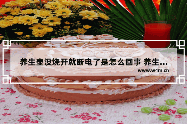 养生壶没烧开就断电了是怎么回事 养生壶全自动不加热什么原因