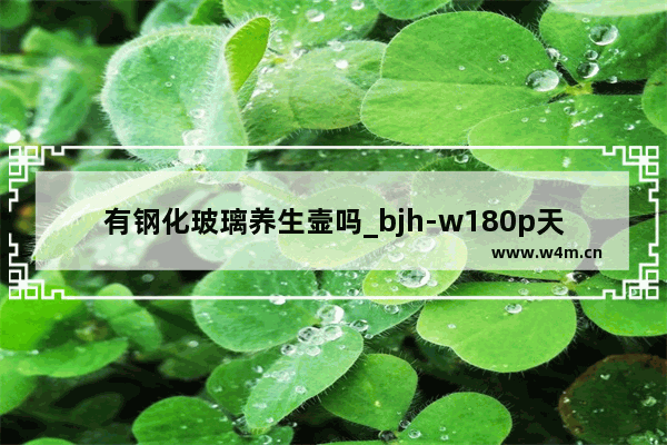 有钢化玻璃养生壸吗_bjh-w180p天际养生壶是整体玻璃做的吗