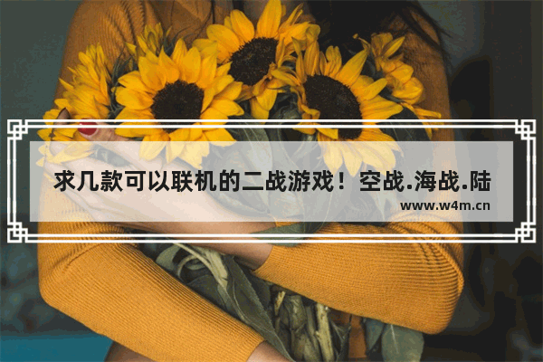 求几款可以联机的二战游戏！空战.海战.陆战 二战游戏推荐手游策略单机