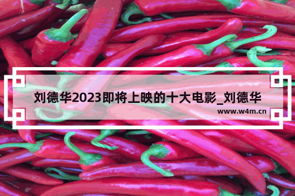 刘德华2023即将上映的十大电影_刘德华2023即将上映的十大电影