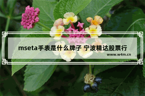 mseta手表是什么牌子 宁波精达股票行情查询