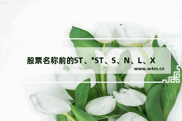 股票名称前的ST、*ST、S、N、L、XD、XR、DR分别表示什么 股票名称