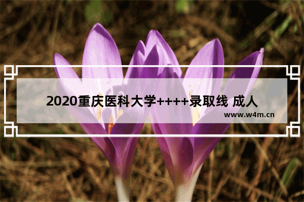 2020重庆医科大学++++录取线 成人医学类高考分数线