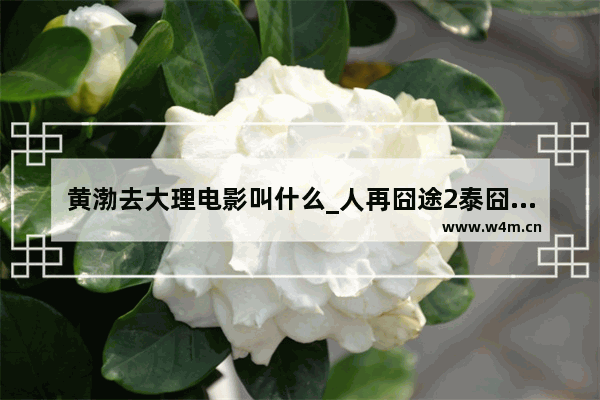 黄渤去大理电影叫什么_人再囧途2泰囧票房