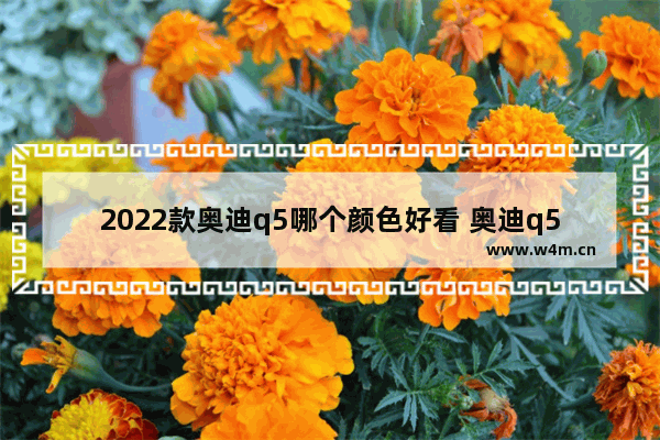 2022款奥迪q5哪个颜色好看 奥迪q5新车推荐什么颜色好看