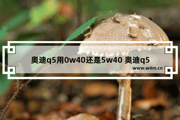 奥迪q5用0w40还是5w40 奥迪q5新车推荐什么机油比较好