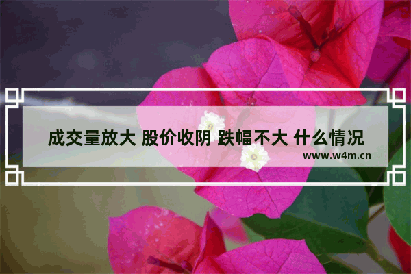 成交量放大 股价收阴 跌幅不大 什么情况 找一下股票行情