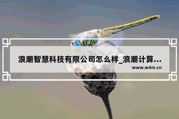 浪潮智慧科技有限公司怎么样_浪潮计算机科技有限公司怎么样