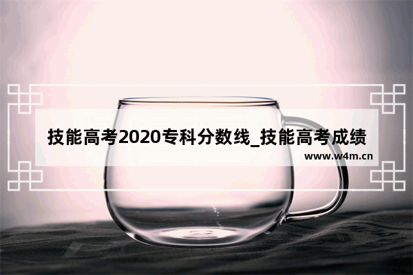 技能高考2020专科分数线_技能高考成绩怎么算