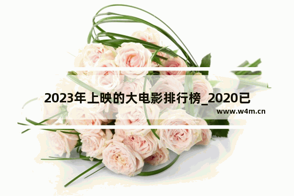 2023年上映的大电影排行榜_2020已上映最火十部电影