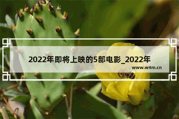 2022年即将上映的5部电影_2022年年底有什么新影片上映