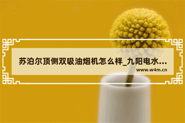 苏泊尔顶侧双吸油烟机怎么样_九阳电水壶好还是苏泊尔电水壶好