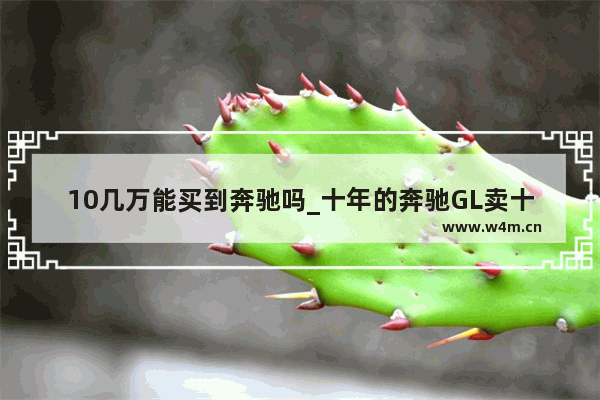 10几万能买到奔驰吗_十年的奔驰GL卖十万可以买吗