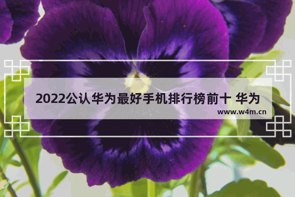 2022公认华为最好手机排行榜前十 华为手机推荐排名榜最新款