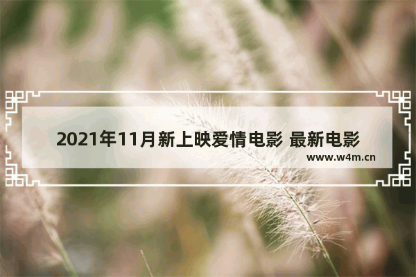 2021年11月新上映爱情电影 最新电影已上映 爱情剧有哪些电影推荐