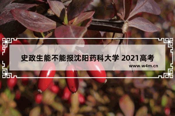 史政生能不能报沈阳药科大学 2021高考分数线史政生