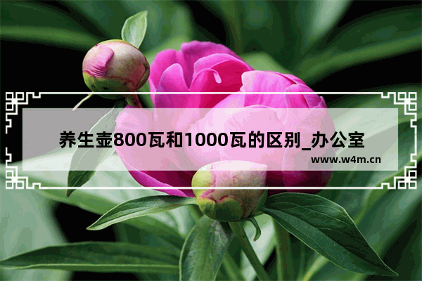 养生壶800瓦和1000瓦的区别_办公室养生壶要多大的