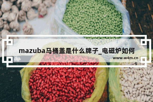 mazuba马桶盖是什么牌子_电磁炉如何使用说明书