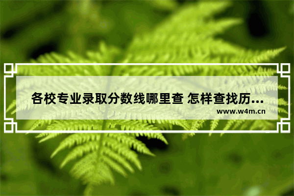 各校专业录取分数线哪里查 怎样查找历年高考分数线