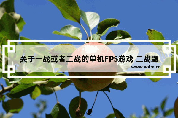 关于一战或者二战的单机FPS游戏 二战题材的单机手机游戏推荐