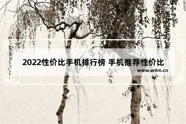 2022性价比手机排行榜 手机推荐性价比排行榜单有哪些牌子