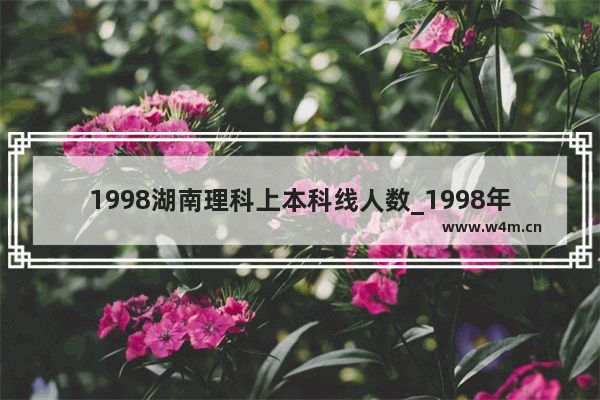 1998湖南理科上本科线人数_1998年湖南高考数学总分