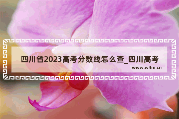 四川省2023高考分数线怎么查_四川高考成绩查询方法及步骤