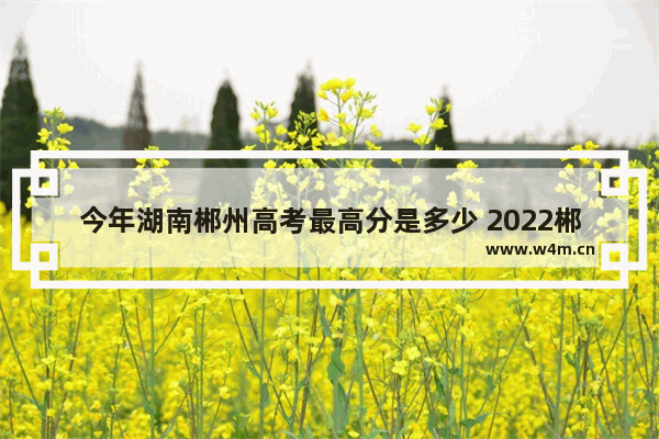 今年湖南郴州高考最高分是多少 2022郴州市高考分数线