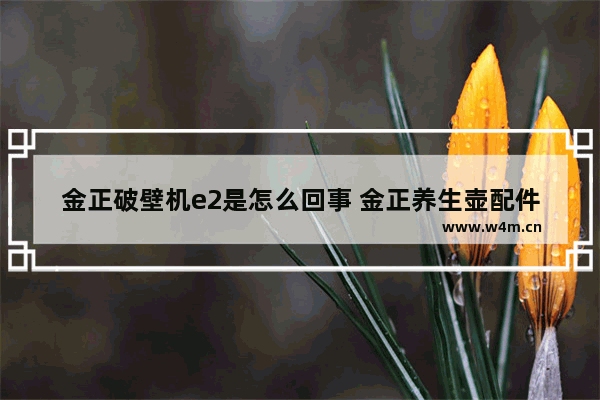 金正破壁机e2是怎么回事 金正养生壶配件耦合器