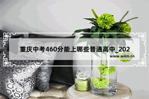 重庆中考460分能上哪些普通高中_2021年思源学校多少分可以进