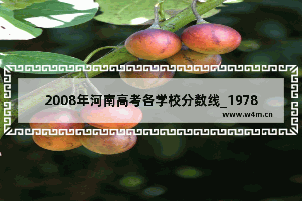 2008年河南高考各学校分数线_1978年河南省高考本科分数线