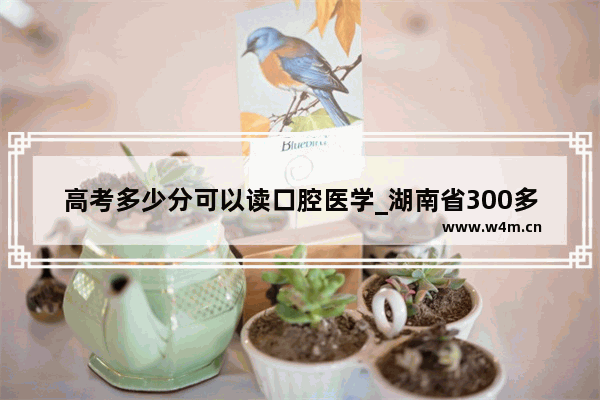 高考多少分可以读口腔医学_湖南省300多分可报口腔医学吗