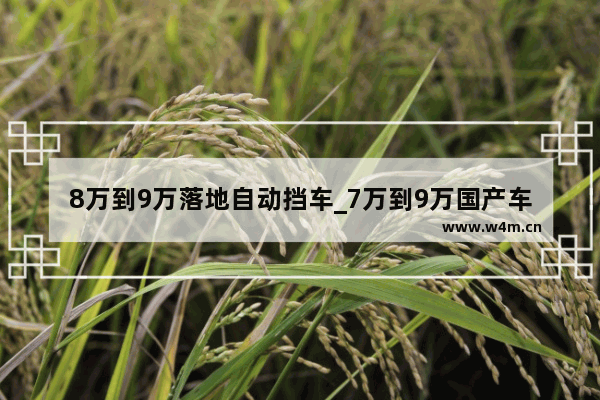 8万到9万落地自动挡车_7万到9万国产车自动挡