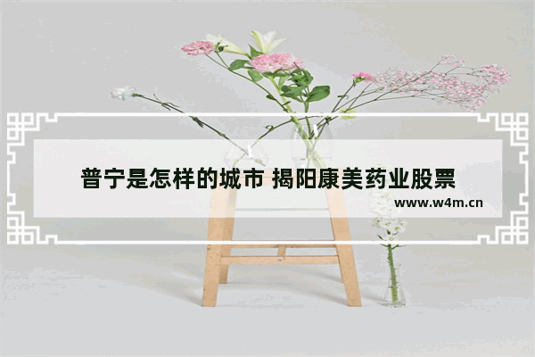 普宁是怎样的城市 揭阳康美药业股票