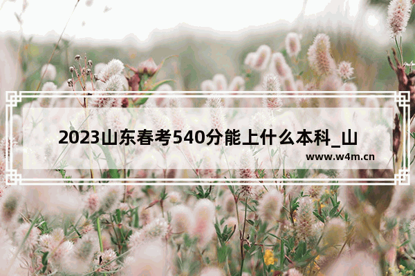 2023山东春考540分能上什么本科_山东户口江苏学籍在哪高考