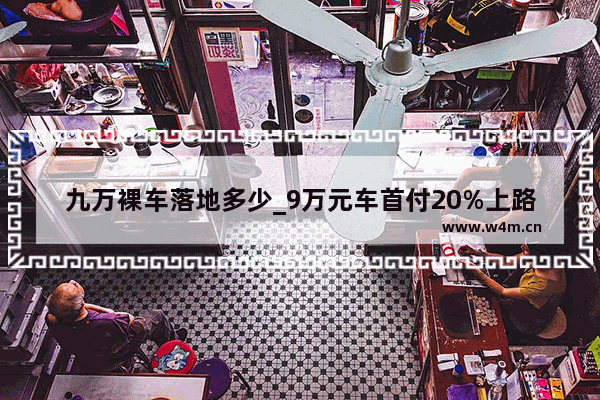 九万裸车落地多少_9万元车首付20%上路要多少