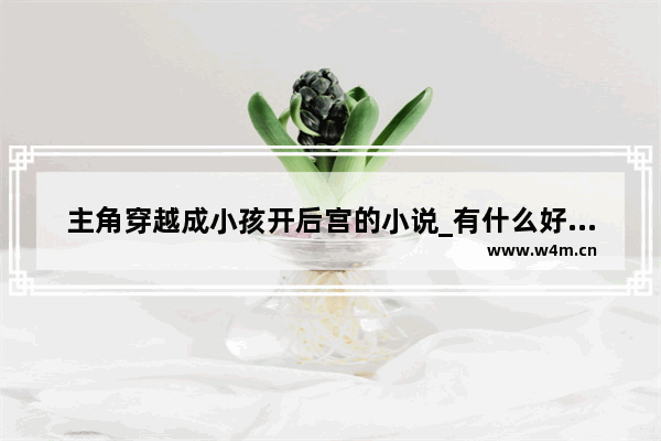 主角穿越成小孩开后宫的小说_有什么好玩的后宫养成游戏