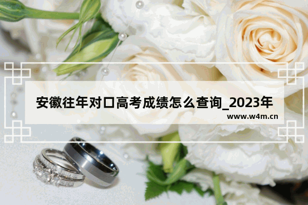 安徽往年对口高考成绩怎么查询_2023年安徽文科分数线会降低吗