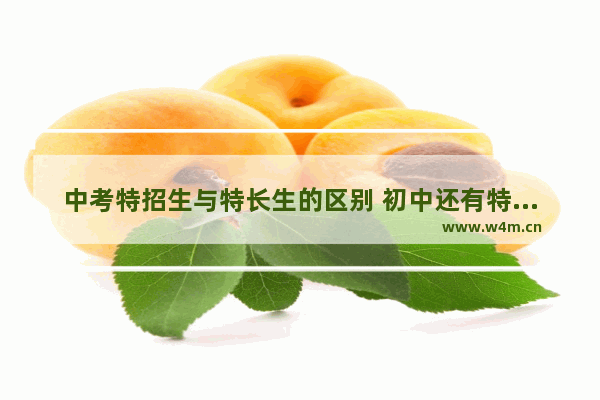 中考特招生与特长生的区别 初中还有特招吗高考分数线