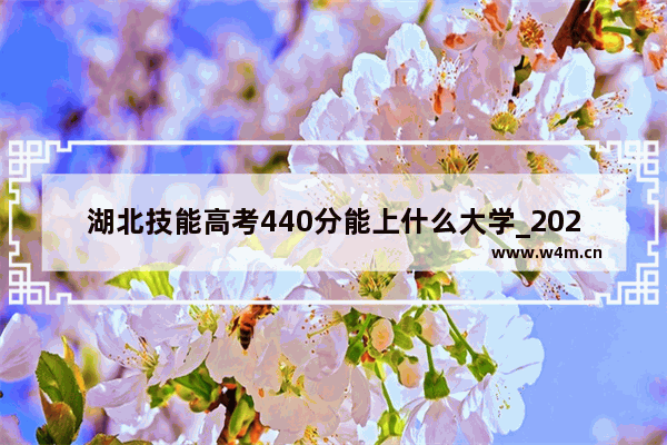 湖北技能高考440分能上什么大学_2023年技能高考总分510分能上什么学校