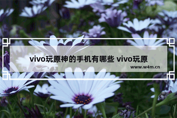 vivo玩原神的手机有哪些 vivo玩原神手机推荐排行