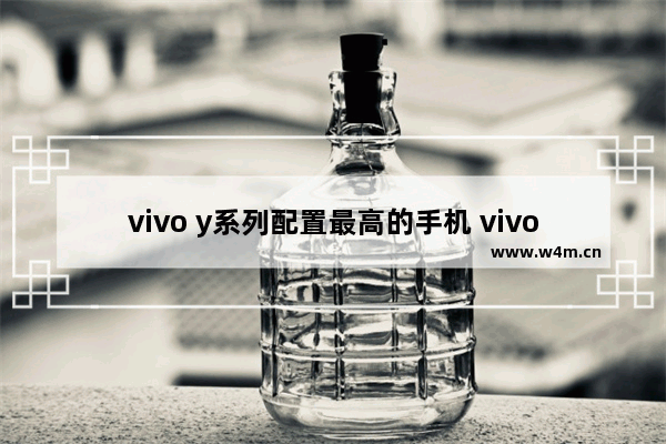 vivo y系列配置最高的手机 vivo高配置手机推荐