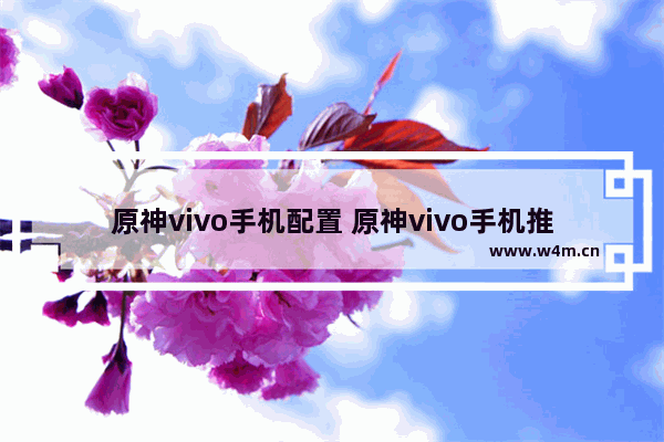 原神vivo手机配置 原神vivo手机推荐配置