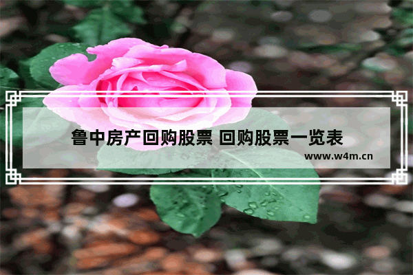 鲁中房产回购股票 回购股票一览表