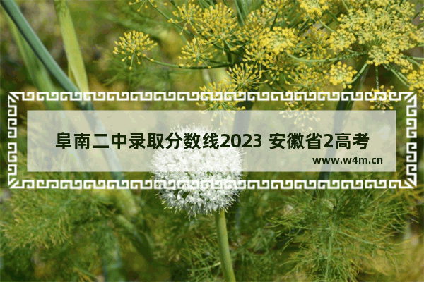 阜南二中录取分数线2023 安徽省2高考分数线